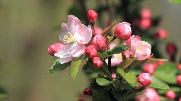 不会聊天怎么办-聊天话题