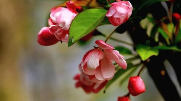 挽回前男友的方法-怎么去挽回前男友