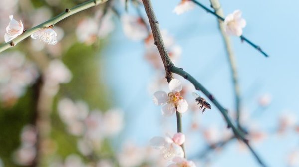 分手挽回女朋友-挽回女友的方法