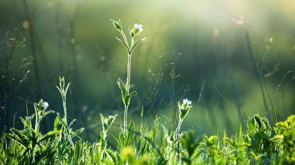 分手挽回男朋友-挽回男友的方法