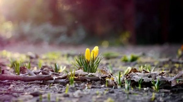 婚姻纪念日代称-婚姻周年纪念日名称