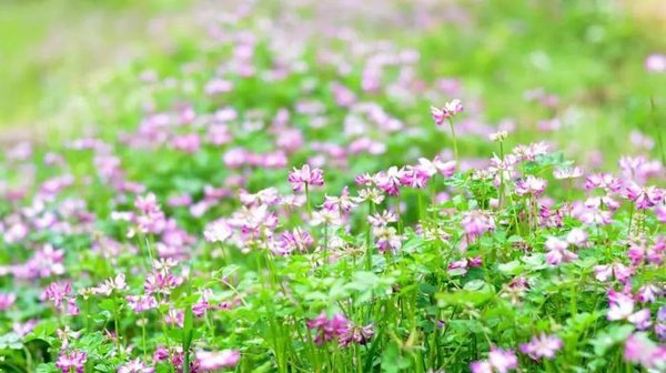 和女生分手怎么复合-分手后要复合怎么办