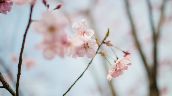 挽回爱情-挽回爱情的方法技巧