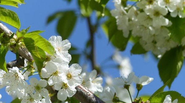 女朋友要分手怎么挽回-挽回女友方法、技巧