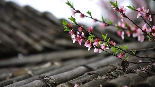 男人出轨的表现-男人出轨的预示