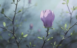 爱情付出型vs索取型自测