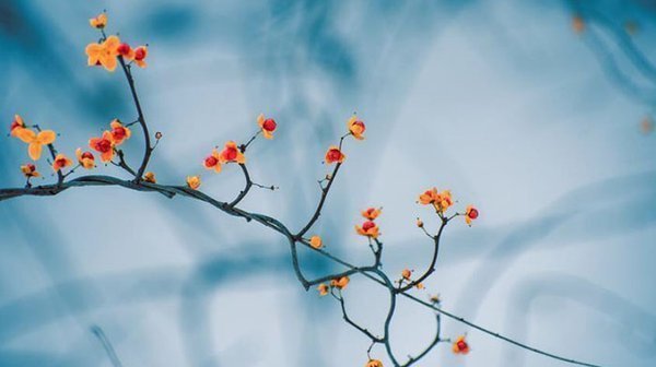 改变不快乐、不幸人生的方法-获得快乐的前行方向