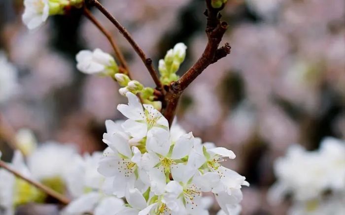 为什么有的陪伴是甜蜜的爱，有的却仅仅是&ldquo;备胎&rdquo;的伴随呢？