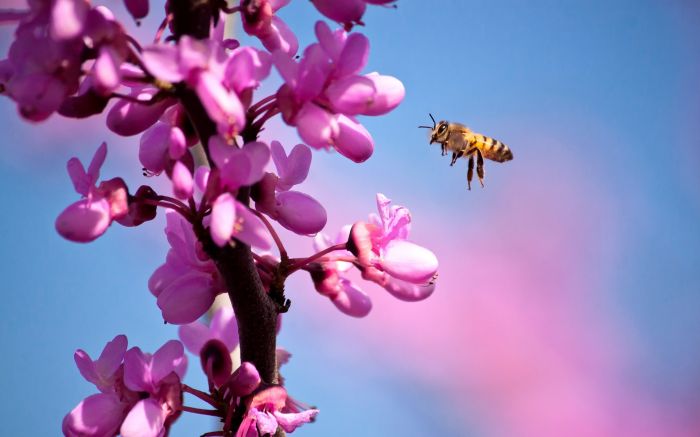 10个和女生约会技巧，不要错过哦~！