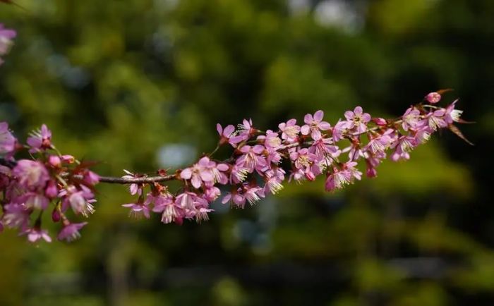 别让&ldquo;忙&rdquo;成为爱的盲区：让女朋友的温柔在忽视中悄然离去