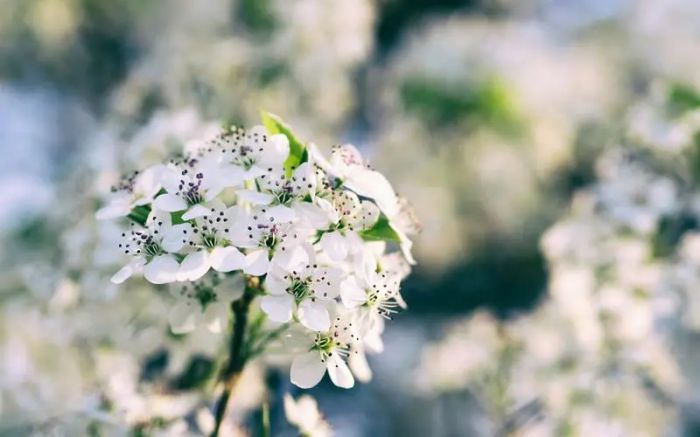 15岁孩子早恋怎么做心理辅导