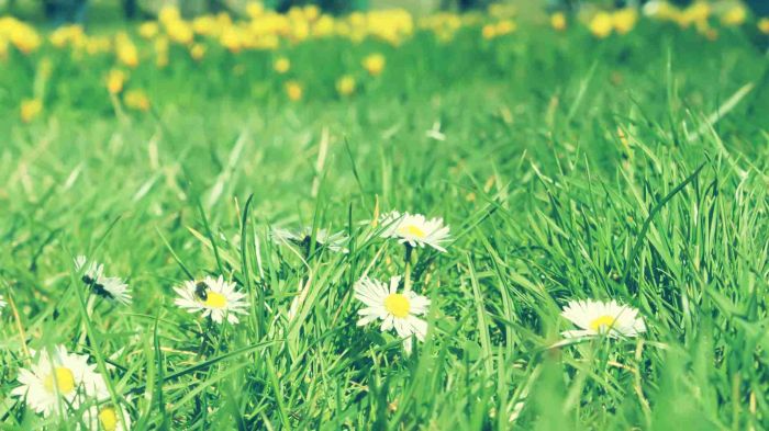 10个可以聊很久的话题！