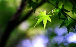 婚前焦虑程度测试