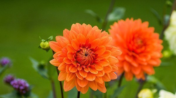 如何经营家庭关系_改善家庭氛围