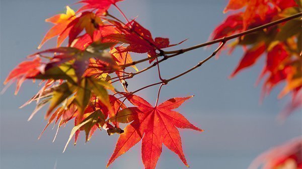 育儿焦虑怎么缓解_科学育儿不焦虑