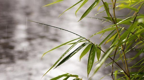 社交恐惧怎么办_社恐自救方法