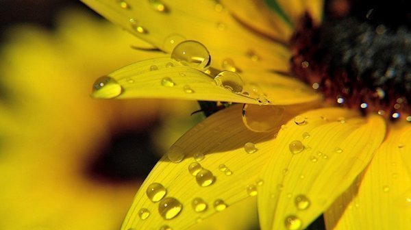 家庭矛盾怎么化解_营造和谐家庭