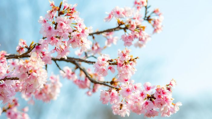 社交恐惧导致失眠怎么办？7 个助眠方法告别深夜焦虑