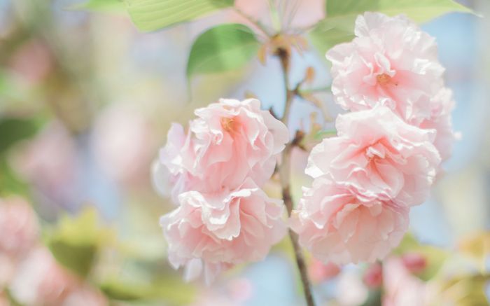 怎样克服社交恐惧症和不敢与人对视