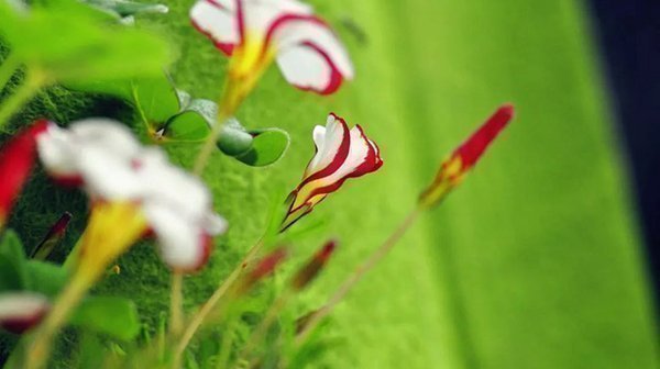 情绪崩溃怎么办_快速缓解情绪崩溃的方法