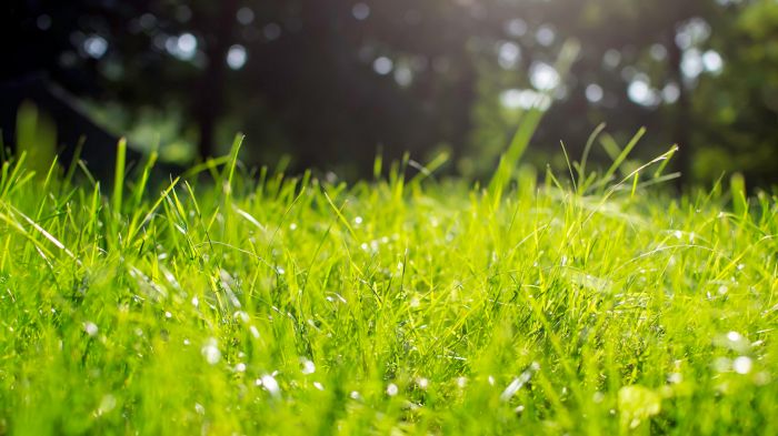 自我调节情绪的方法有哪些?该怎么办?