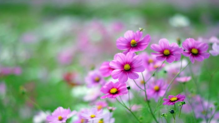 如果爱还能重新来过&mdash;&mdash;写给想挽回爱情的你