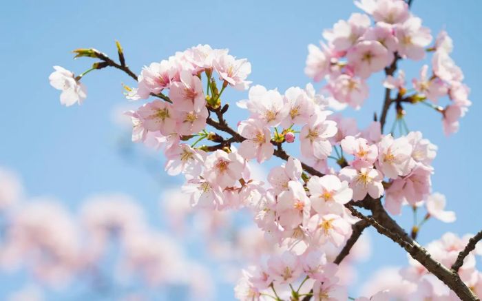 5招挽回爱情的技巧，学会了随时挽回对方！