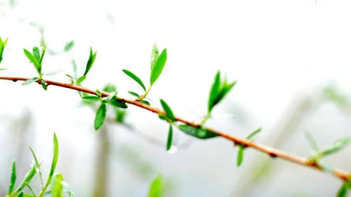 人缘不好,问题可能出在哪儿?