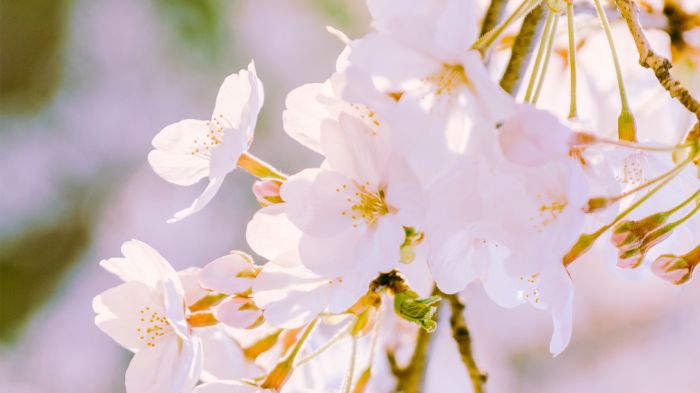 经常感到情绪低落烦躁易怒压抑怎么办？