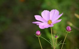 识人能力：你能一眼看透人心吗？