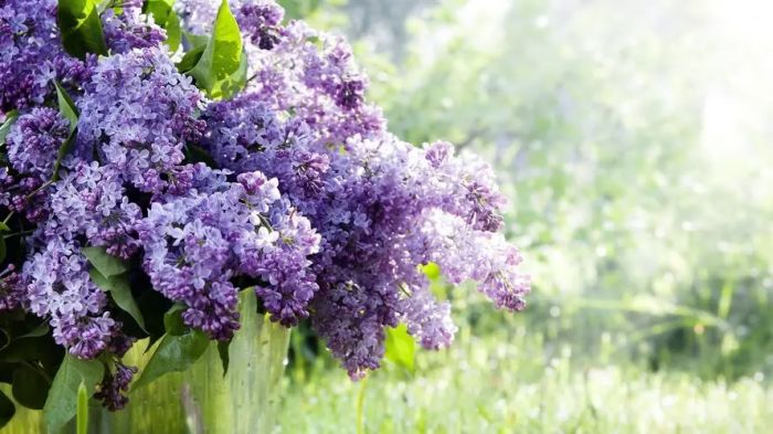 失眠了不知道该怎么办？如何解决？