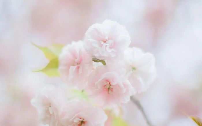 怎样挽回刚分手的前男友？要挽回吗？