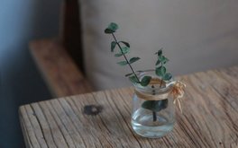 情绪低落周期测试