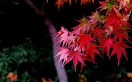 情绪敏感程度测试