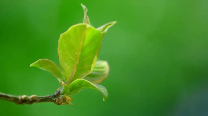 育儿焦虑越养越累？掌握科学育儿，轻松缓解带娃压力