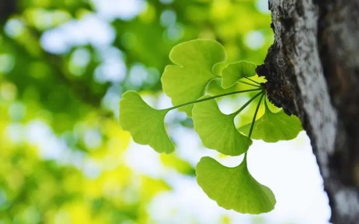 原生家庭是什么意思-原生家庭对孩子的影响有哪些?