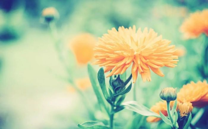 面对原生家庭的伤害,那个在凌晨流泪的孩子,后来怎样了?