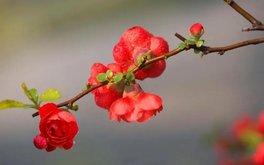 情绪负向沉浸度测试