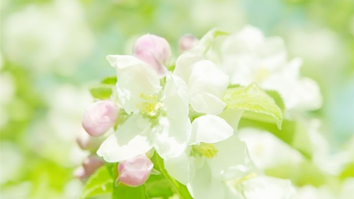 男人出轨的隐形信号：他的反常行为，需要的不是猜疑，是看懂