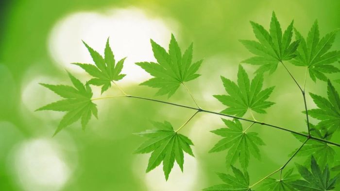 女人出轨的深层心理与行为信号：不只是背叛，更是一场内心的求救