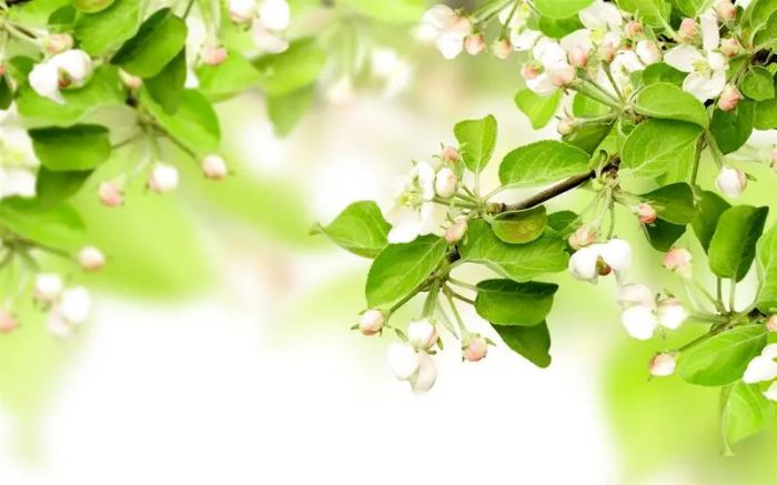 别一个人扛:家庭婚姻矛盾,你可以向哪里求助