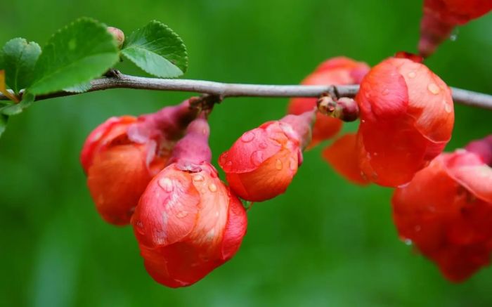 如何判断妻子是否出轨？从这14个细节入手，比质问更管用