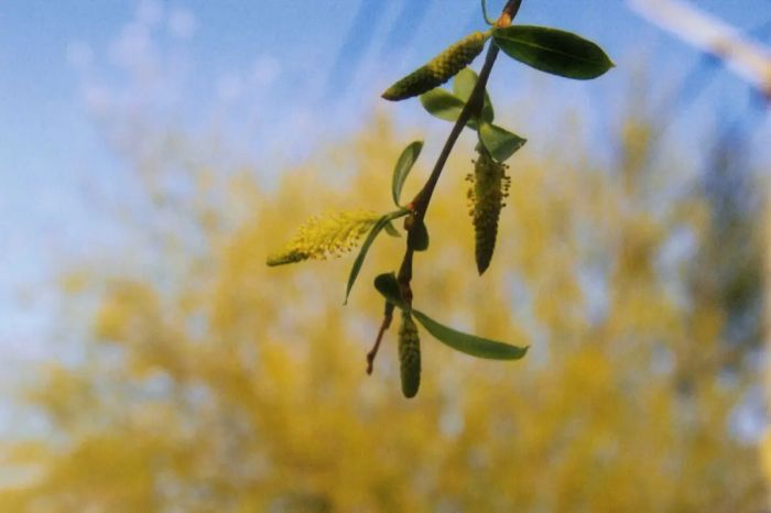 挽回死心妻子的关键:别急着追,先看懂她的心