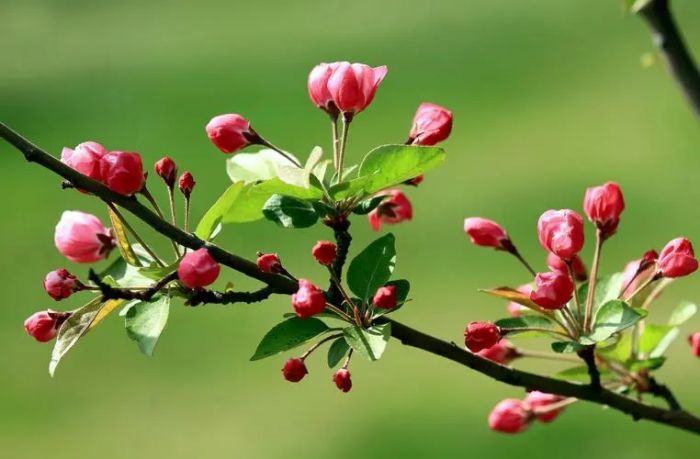 当丈夫在家庭关系中“掉线”,妻子可以怎么办