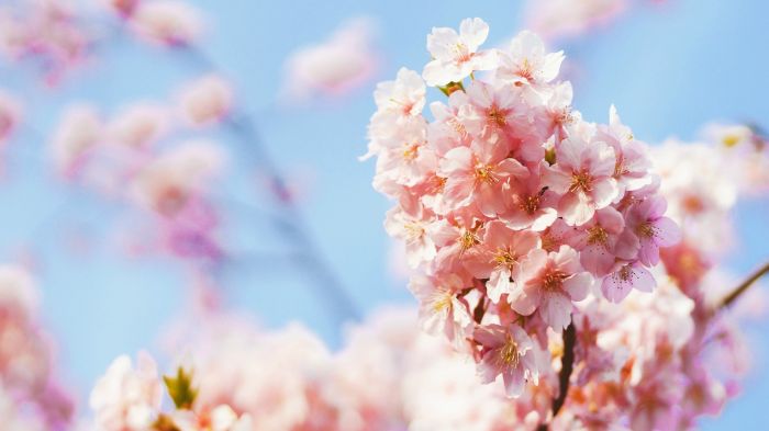 爱老婆的第一步：看见她这个人