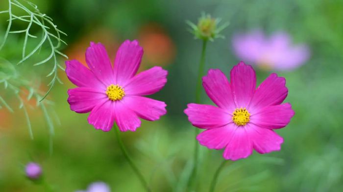 最好的爱和幸福的家,从“看见”老婆开始