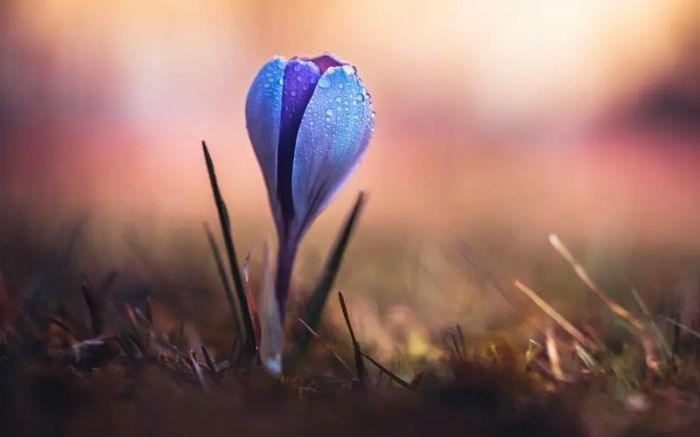 女人出轨的表现有哪些?5个反常行为背后是婚姻的求救信号