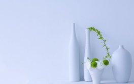 儿童规则意识建立水平测试