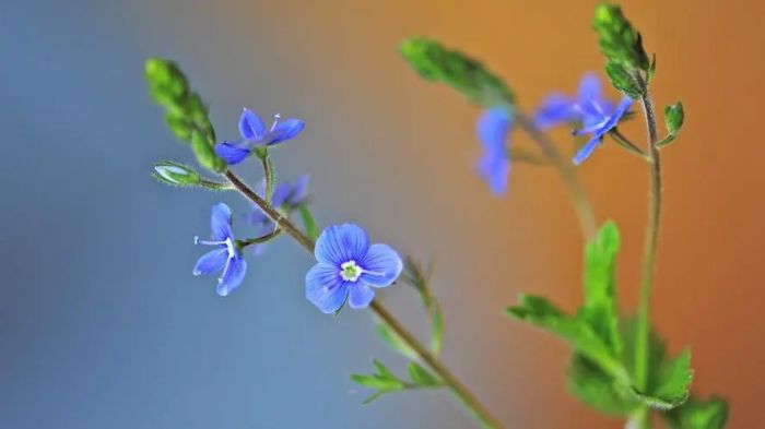 无趣还焦虑的生活，是因为缺少了它，我们才提不起精力做事