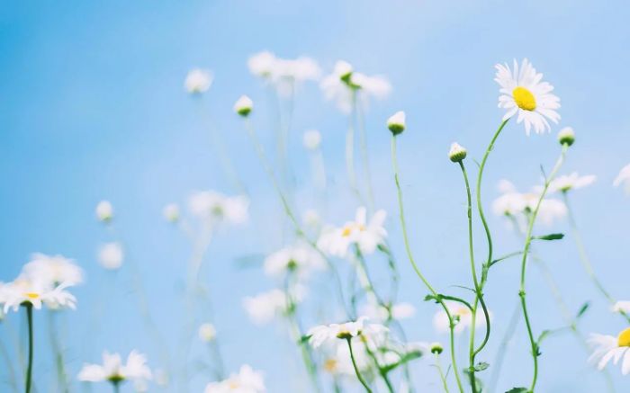 最低质的交友方式——依附。很多人深陷这种状态,却忘了如何脱身